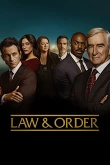 New York District / New York Police Judiciaire saison 24 poster