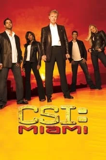Les Experts : Miami saison 10 poster