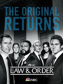 New York District / New York Police Judiciaire saison 22 poster
