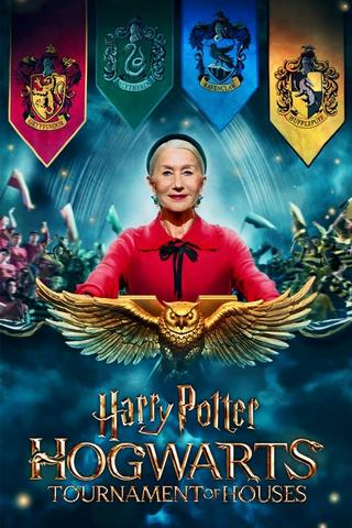 Harry Potter: Hogwarts Tournament of Houses saison 1 poster